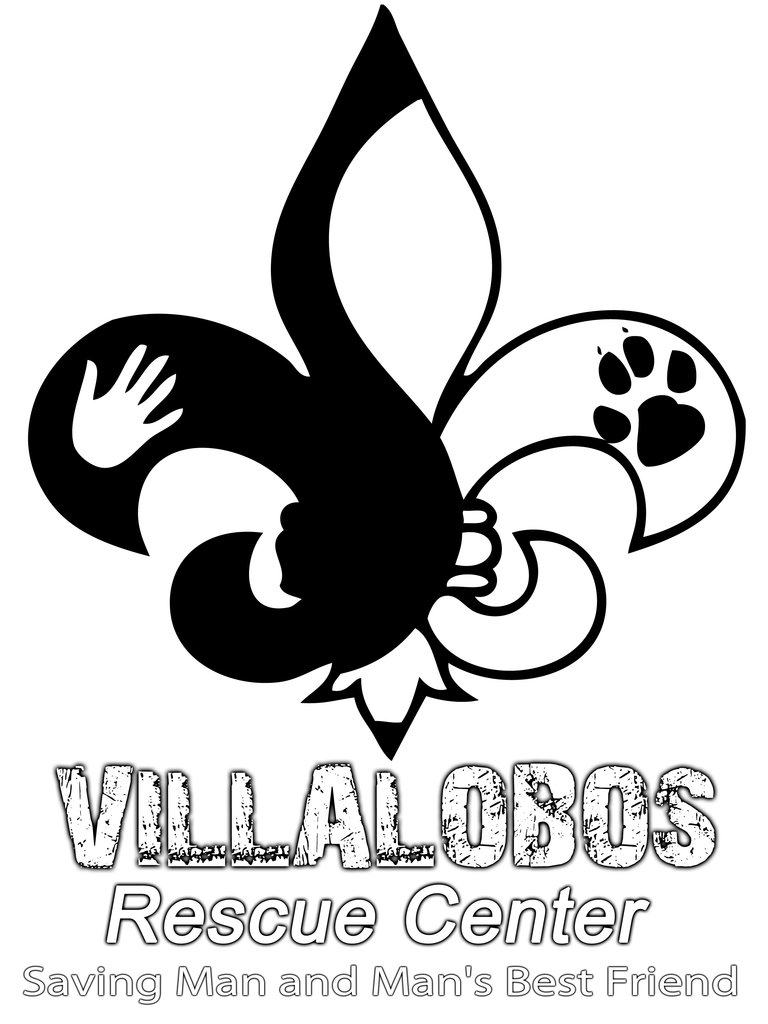 Treat Pit Bulls Suffering From Heartworm Disease GlobalGiving