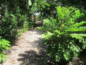 Caterpillar host trees decorate demonstration site