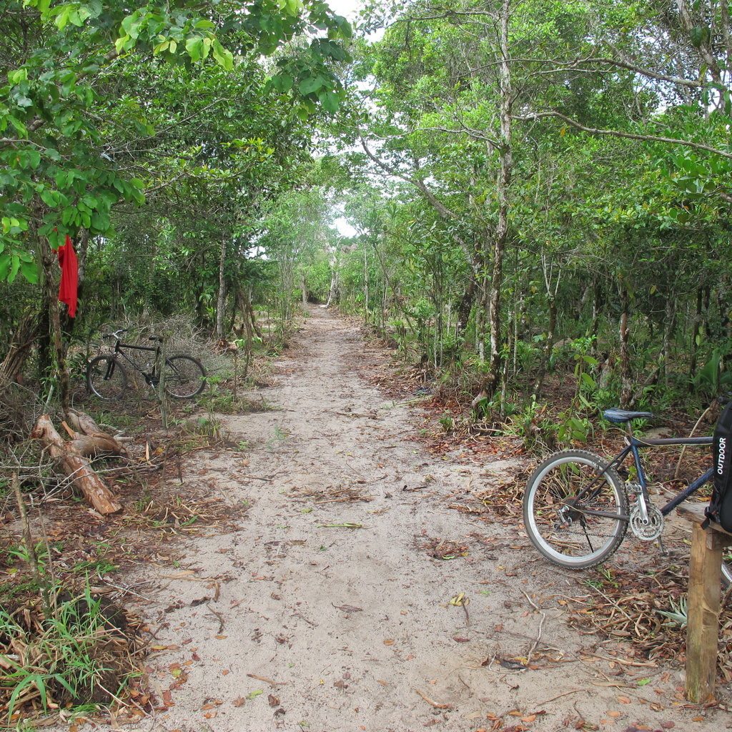 Wild Silk Training Center for 300 in Madagascar!