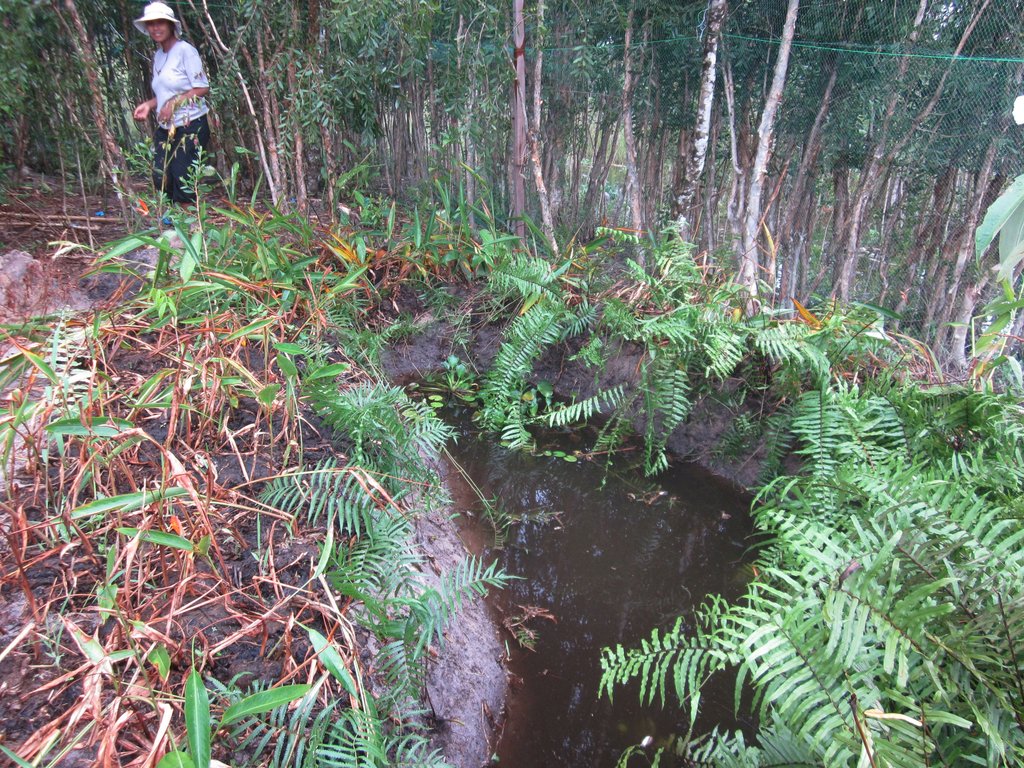Wild Silk Training Center for 300 in Madagascar!