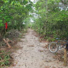 CPALI Demonstration Site