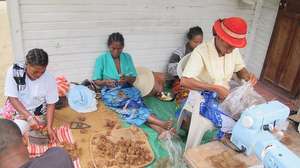 Sorting cocoons