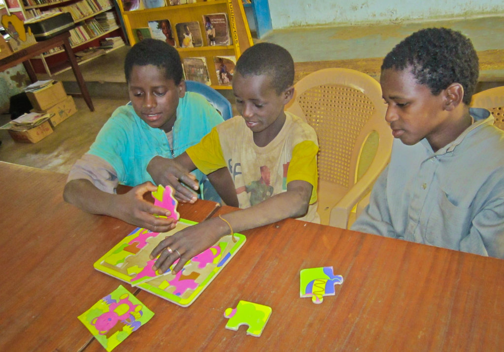 Koumbia Library Users & Typical Bookshelves