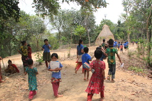 The village life