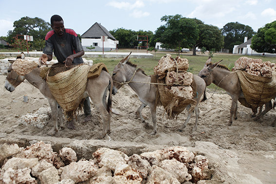 ANIDAN Arts & Crafts centre, Lamu, Kenya