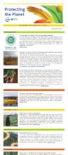 November newsletter