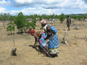 African Solutions in a Rapidly Changing World
