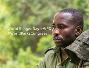 Ranger in Africa