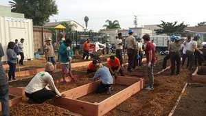 Eastmont Community Garden Build Day #2