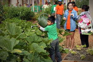 Watering