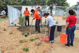 Wilmington Garden Build Day #2
