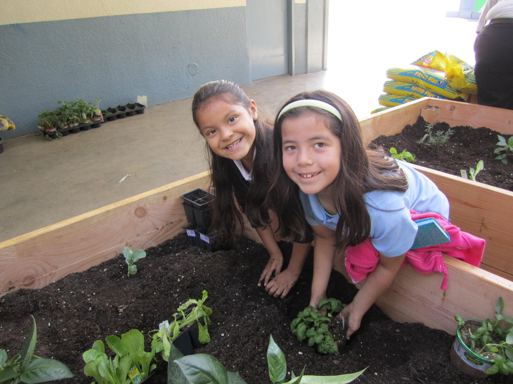 Little Green Fingers