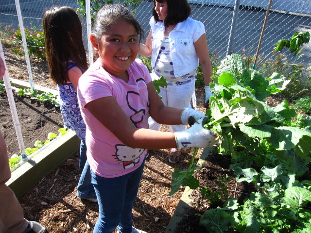 Little Green Fingers