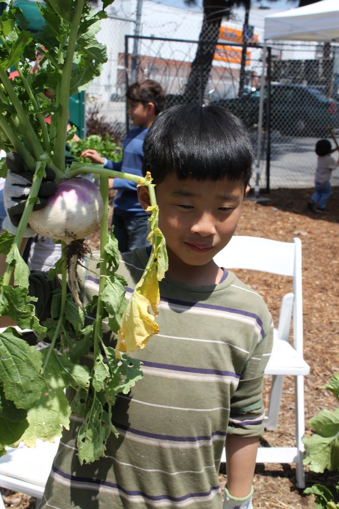 Little Green Fingers
