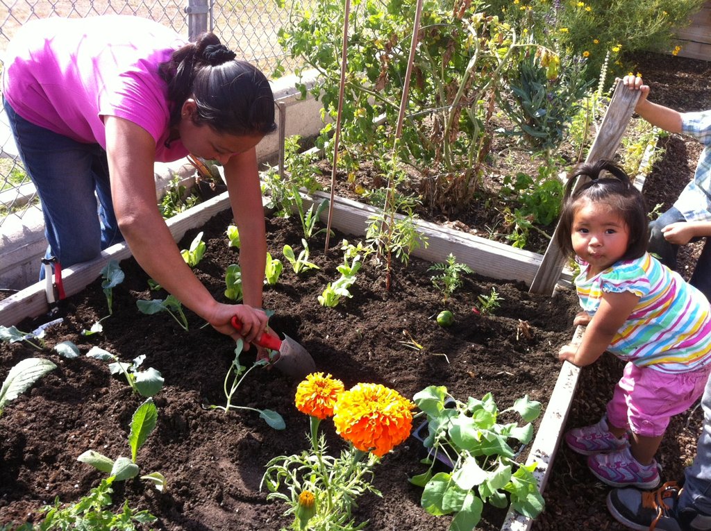 Little Green Fingers