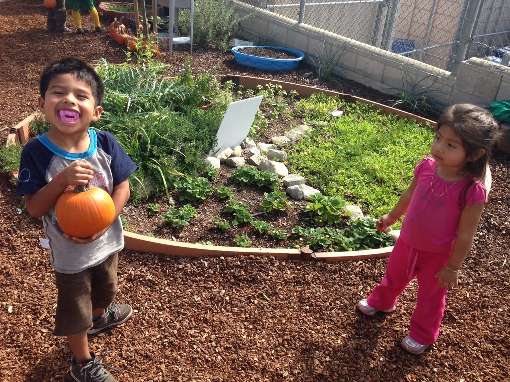 Little Green Fingers