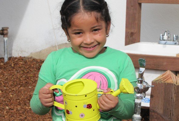 Little Green Fingers