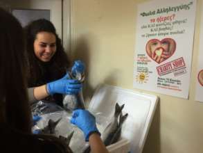 Preparing and Packing Fish