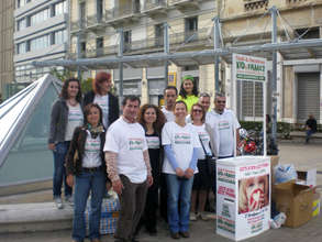 Kid & Family Volunteers collecting food in Athens
