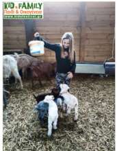 feeding animals of a farm that that cant afford to