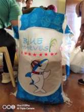 Rice is an important staple for Filipino families