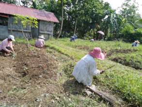 Parents working in the school garden
