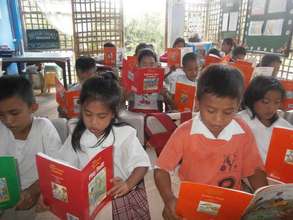 Catig-Lacadon Elementary reading books from AAI