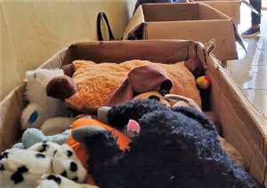 Toys are used in psychological first aid