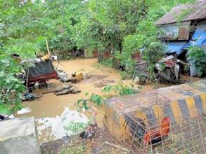 Villages begin the long recovery