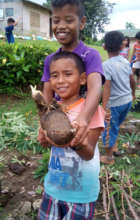 School Garden Angub Elementary School