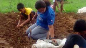 parents, teachers and students build garden