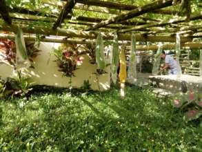 Amazing school garden, Angub Elementary, Capiz