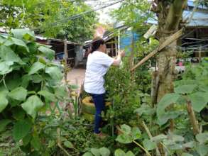Garden in schoolyard of inner-city Salih Yusah ES