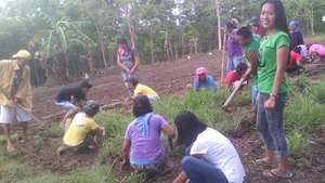 parents plant school-based garden in typhoon zone