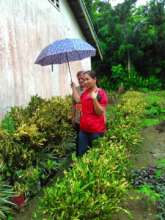 school garden with flowers and veggies Catig