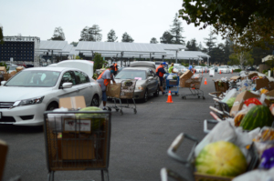 Food Distribution Site