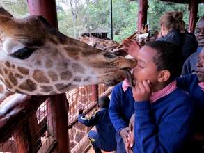 Pupils kissing the giraffes!