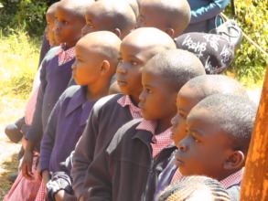 Engrossed by stories of the orphaned elephants