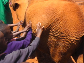 Touching the elephants