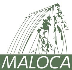 KAMAYURA JEMO'ENTAP: Preserving Kamayura Culture