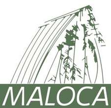 Maloca