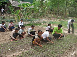 YS volunteer starting school vegetable patch