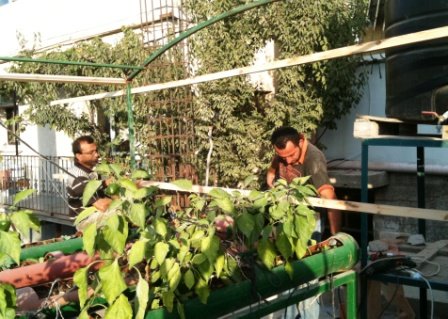 Help 3 Women Prepare for the Upcoming Winter