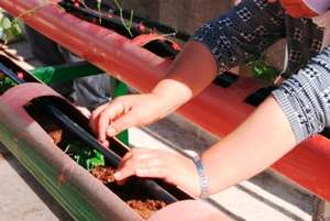 Participant in the project works in her garden