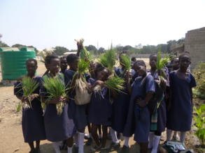 Students picking the vegetables