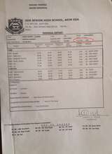 We are proud of Romeo's impressive report