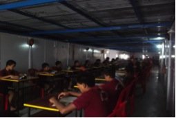 Older Students Reading on the Holiday
