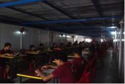 Older Students Reading on the Holiday