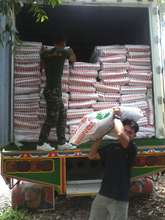 Bags of dog food bought by Soi Dog's supporters