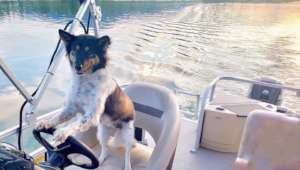 Anja at the helm
